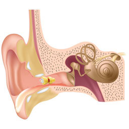 Reed sensors in canal hearing aids