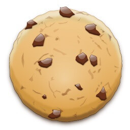 Web Browser cookies